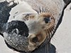 ekvador galapagy 02